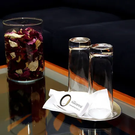 Hotel Hotel Central Plzeň