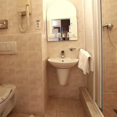فندق Hotel Central بلزن