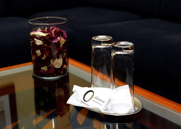 호텔 Hotel Central 플젠